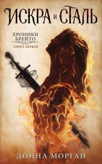 Обложка книги «Искра и сталь»