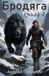 Обложка книги «Бродяга. Том 4»