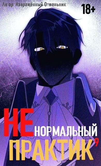 Обложка книги «Ненормальный практик 9»