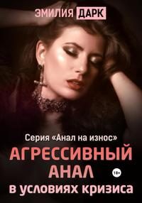Обложка книги «Агрессивный анал в условиях кризиса»