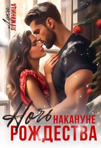 Обложка книги «Ночь накануне Рождества»