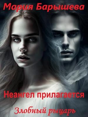 Обложка книги «Злобный рыцарь»