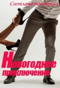 Обложка книги «Новогоднее приключение»