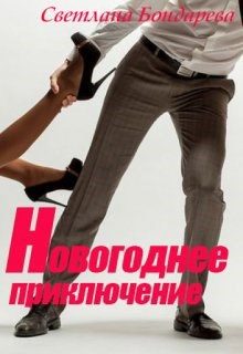 Обложка книги «Новогоднее приключение»