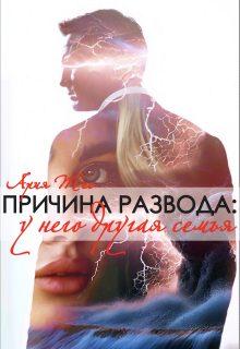Обложка книги «Причина развода: у него другая семья»