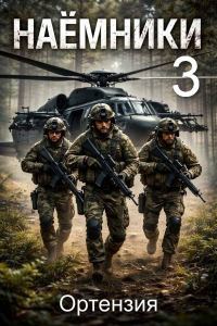 Обложка книги «Наемники. Книга 3»
