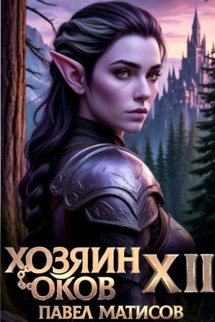 Обложка книги «Хозяин Оков XII»