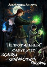 Обложка книги «Основы совместной работы»