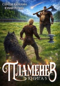 Обложка книги «Пламенев. Книга 5»