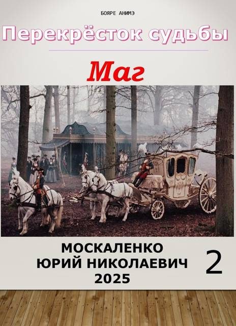 Обложка книги «Перекресток судьбы 2. Маг. Книга 2»