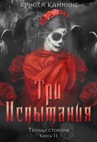 Обложка книги «Три испытания»