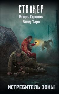 Обложка книги «Истребитель Зоны»