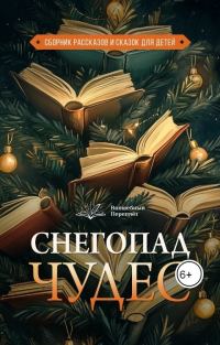Обложка книги «Снегопад чудес»