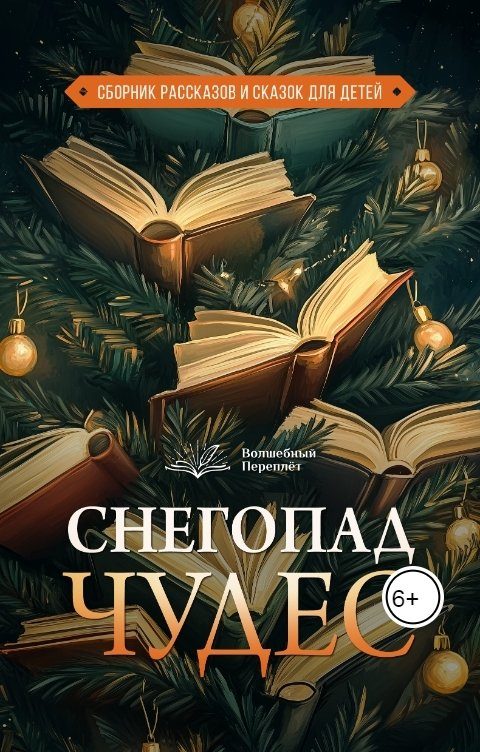 Обложка книги «Снегопад чудес»
