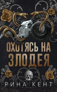 Обложка книги «Охотясь на злодея»
