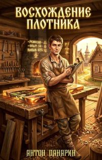 Обложка книги «Восхождение Плотника. Том 3»