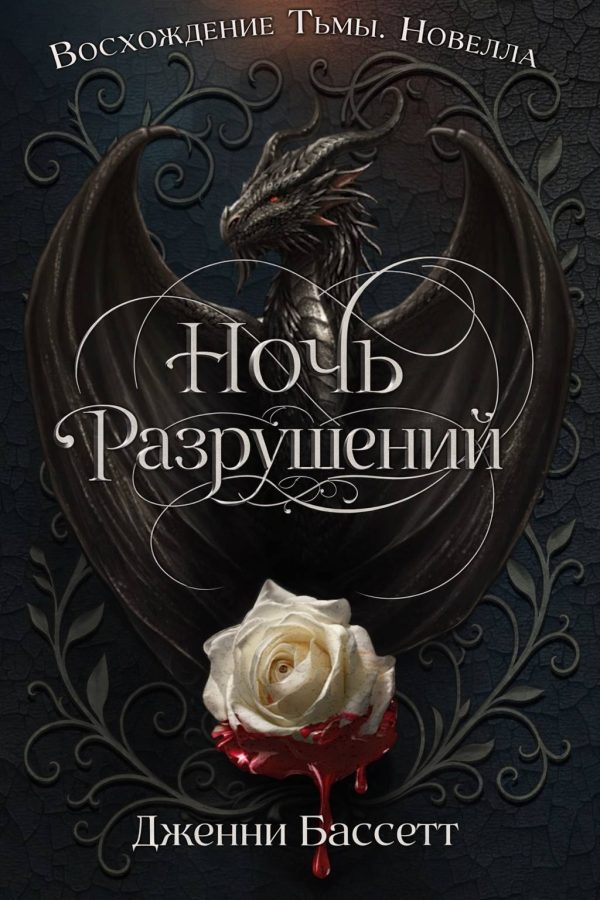 Обложка книги «Ночь разрушений»