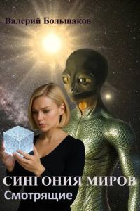Обложка книги «Смотрящие»