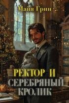 Обложка книги «Ректор и серебряный кролик»