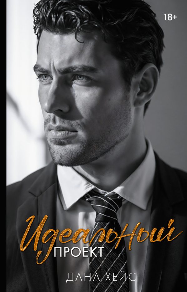 Обложка книги «Идеальный проект»