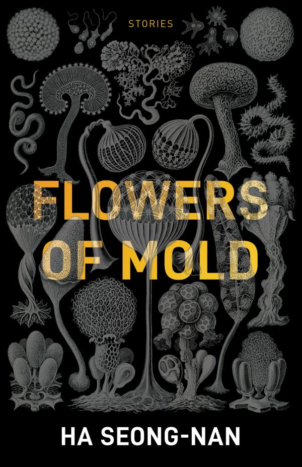 Обложка книги «Flowers of Mold & Other Stories»