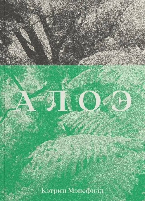 Обложка книги «Алоэ»