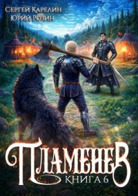 Обложка книги «Пламенев. Книга 6»