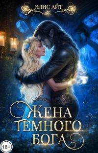 Обложка книги «Жена тёмного бога»