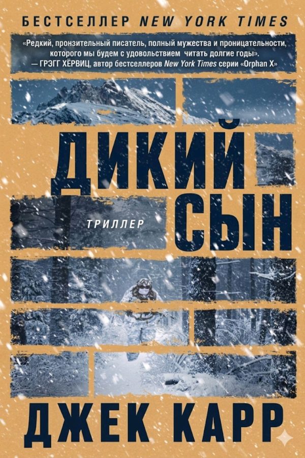 Обложка книги «Дикий сын»