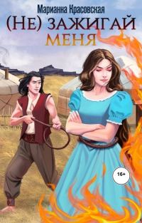Обложка книги «(Не) зажигай меня»