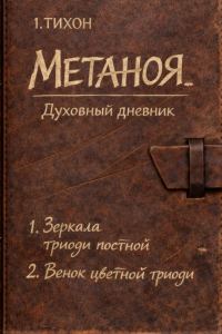 Обложка книги «Метаноя»