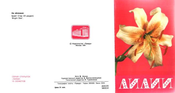 Обложка книги «Лилии»