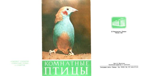 Обложка книги «Комнатные птицы»