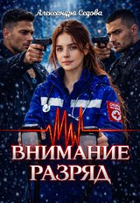 Обложка книги «Внимание, разряд»