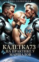 Обложка книги «На практике у маршалов»