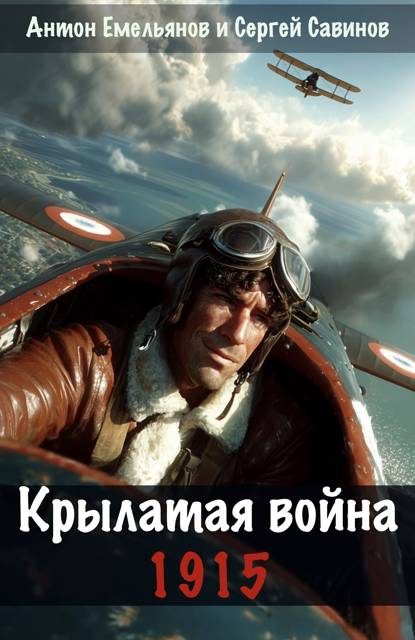 Обложка книги «Крылатая война. 1915. Книга 1»