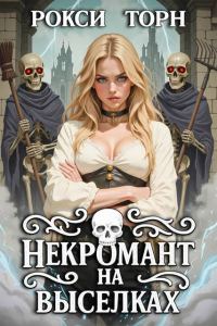 Обложка книги «Некромант на выселках»