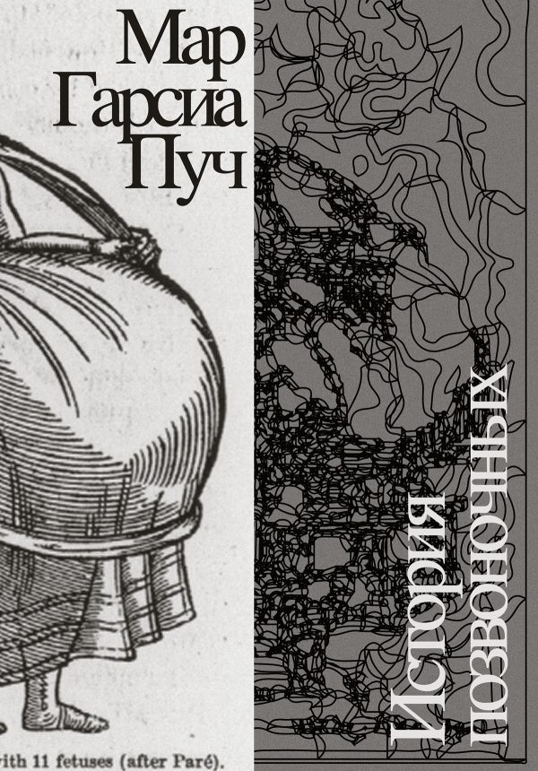 Обложка книги «История позвоночных»