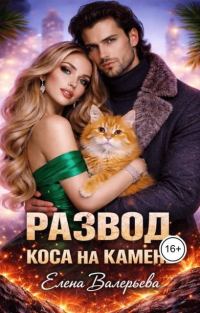 Обложка книги «Развод. Коса на камень»