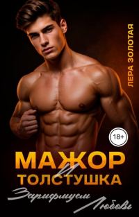 Обложка книги «Мажор и толстушка. Зарифмуем любовь»