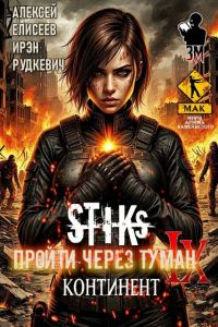 Обложка книги «Пройти через туман IX. Континент»
