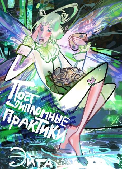 Обложка книги «Постдипломные практики»
