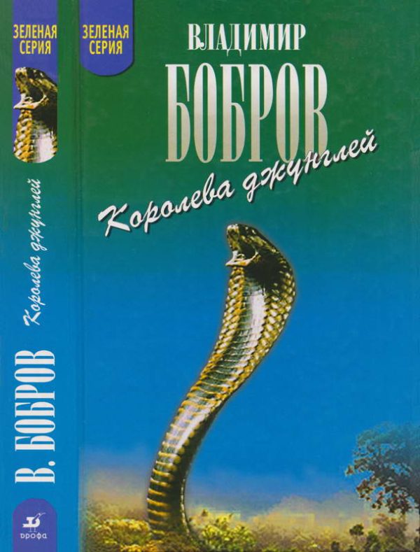 Обложка книги «Королева джунглей»