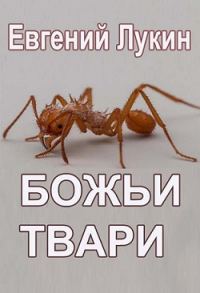 Обложка книги «Божьи твари»