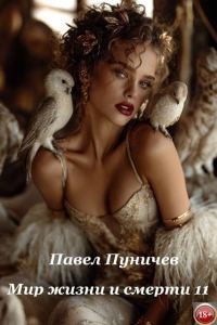 Обложка книги «Мир жизни и смерти 11»