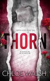 Обложка книги «Торн»