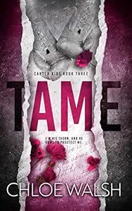 Обложка книги «Смирение»