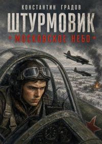 Обложка книги «Московское небо»