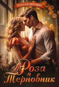 Обложка книги «Роза и Терновник»