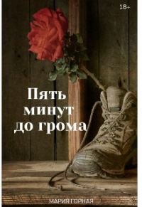 Обложка книги «Пять минут до грома»